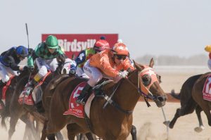 warrnambool to birdsville races
